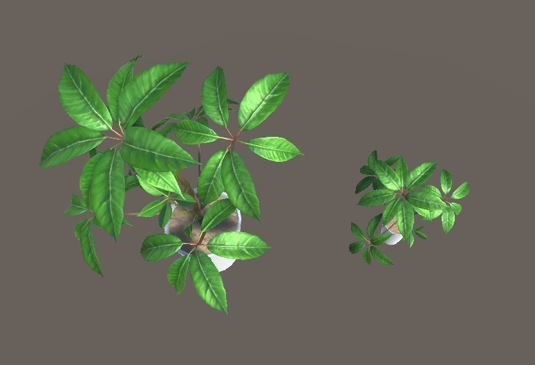 「ツピダンサス」【3Dモデル】