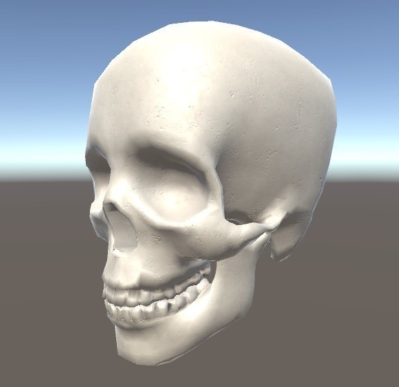 「頭蓋骨」【3Dモデル】