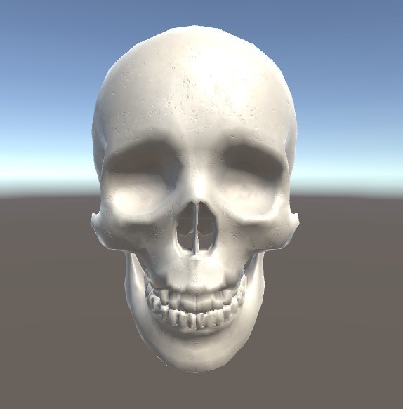 「頭蓋骨」【3Dモデル】