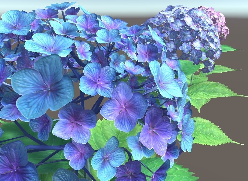 「アジサイ」【3Dモデル】
