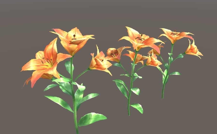 「ゆり」【3Dモデル】