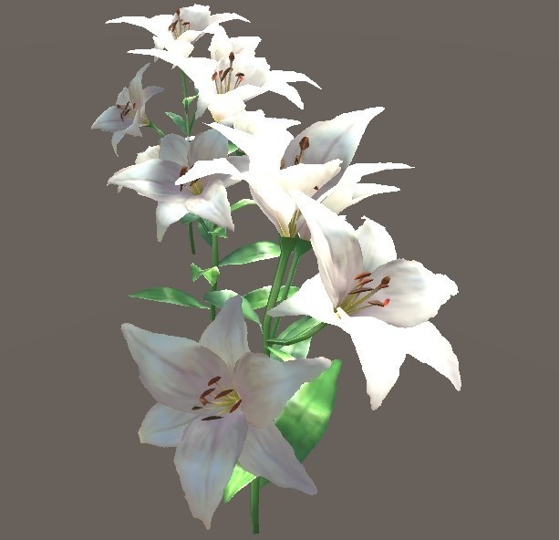 「ゆり」【3Dモデル】