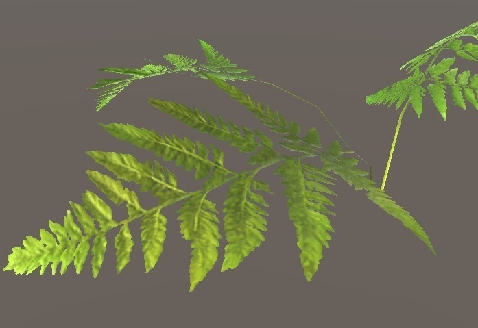 「ワラビ」【3Dモデル】