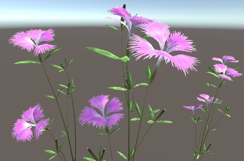 「カワラナデシコ」【3Dモデル】