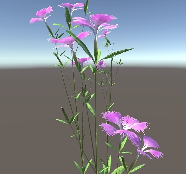 「カワラナデシコ」【3Dモデル】