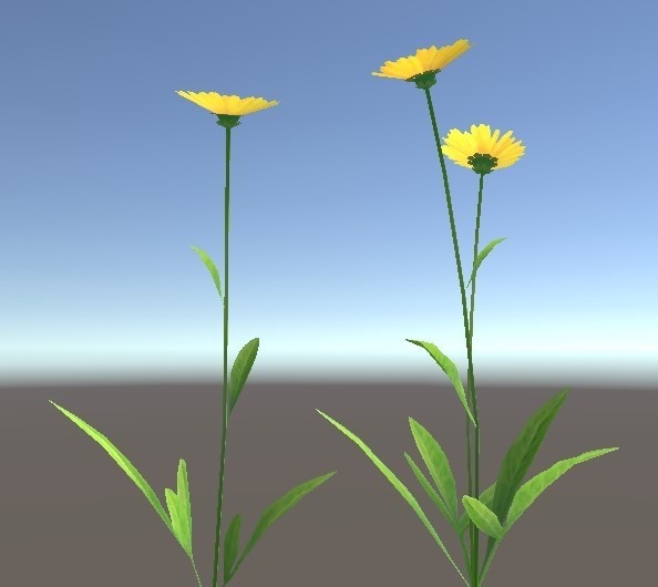 「オオキンケイギク」【3Dモデル】