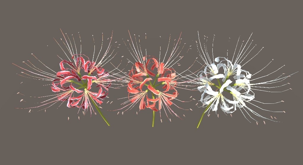 「ヒガンバナ」【3Dモデル】