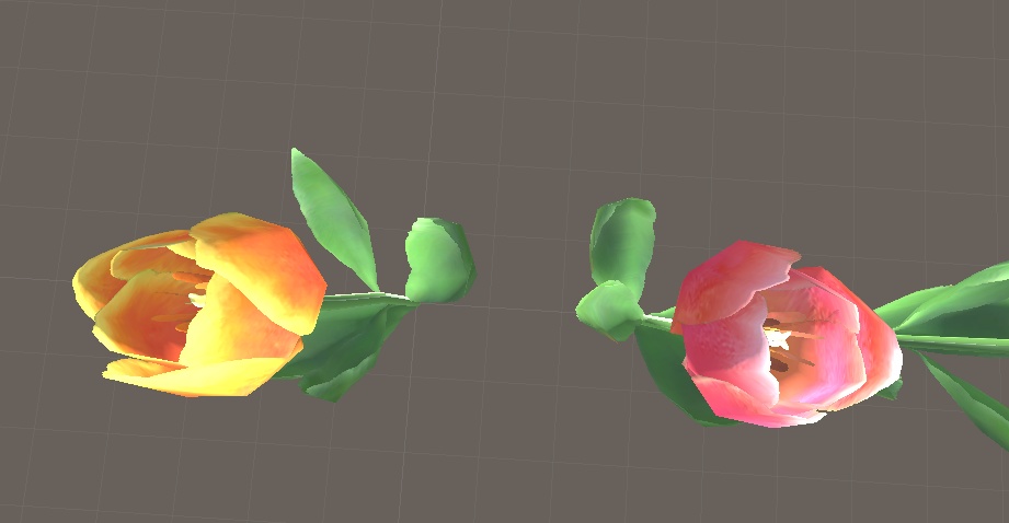 「チューリップ」【3Dモデル】