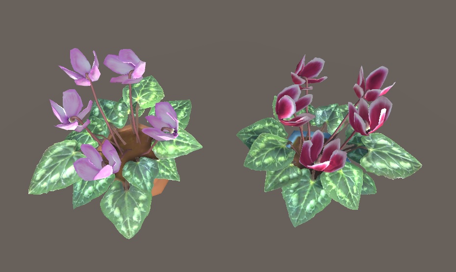 「シクラメン」【3Dモデル】