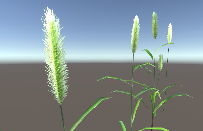 「エノコログサ」【3Dモデル】