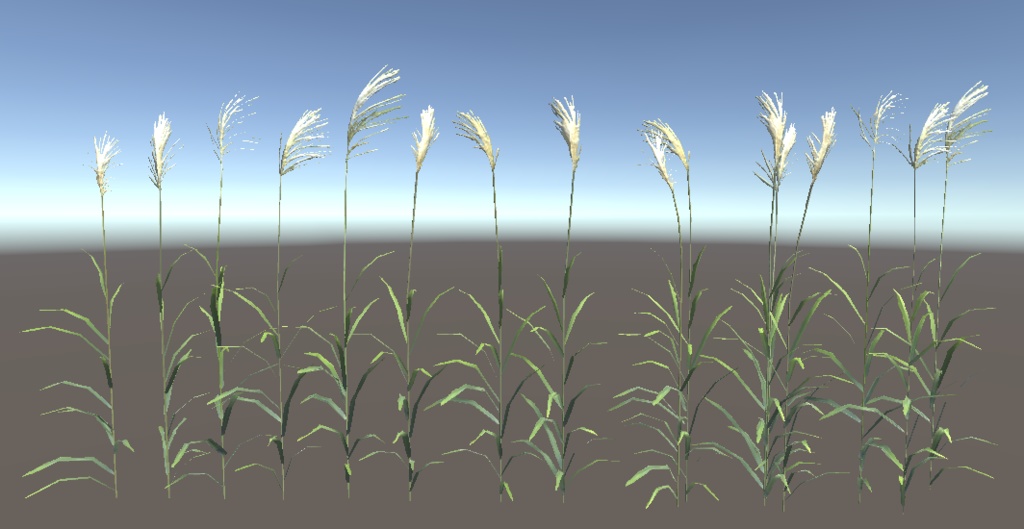 「ススキ」【3Dモデル】