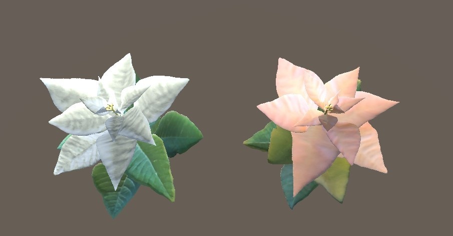 「ポインセチア」【3Dモデル】