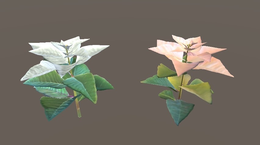 「ポインセチア」【3Dモデル】