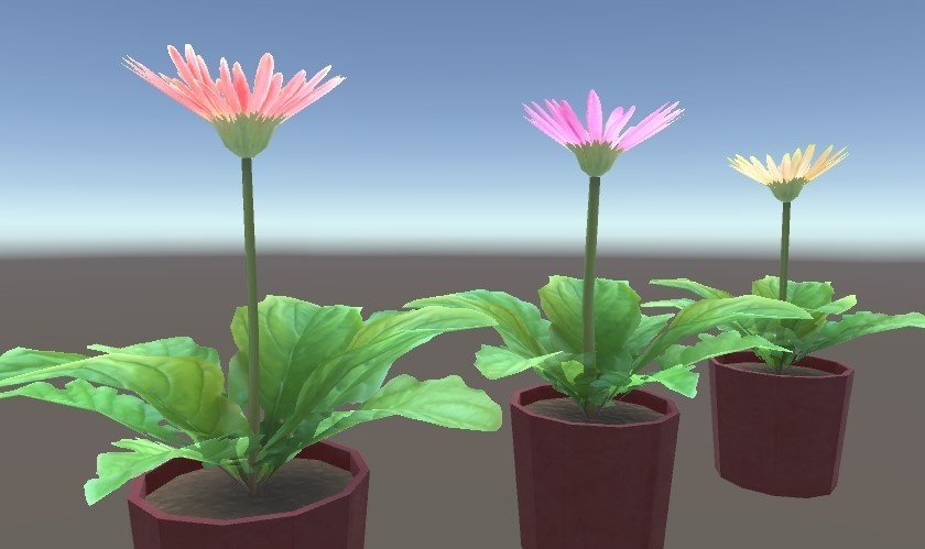 「ミニガーベラ」【3Dモデル】