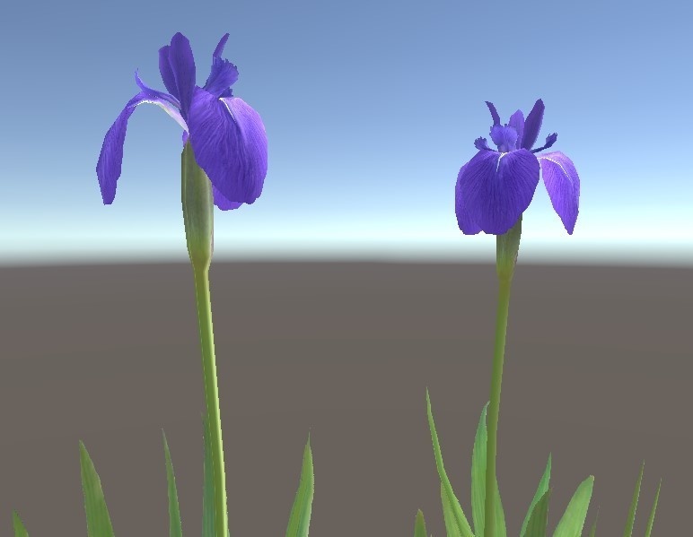 「カキツバタ」【3Dモデル】