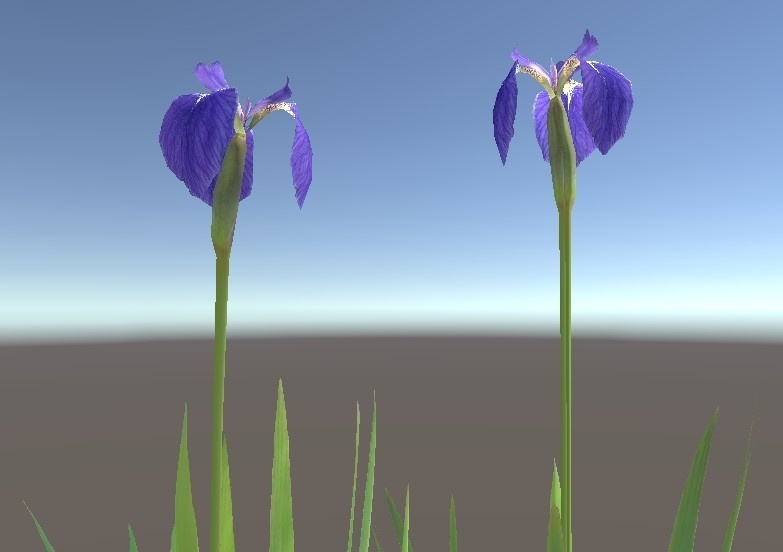 「ヒオウギアヤメ」【3Dモデル】