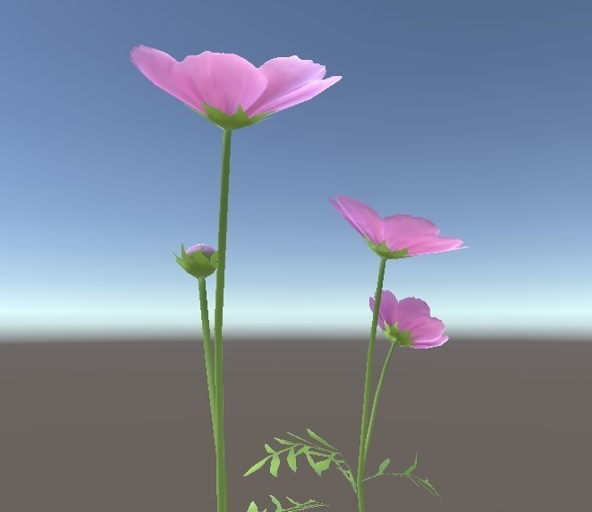 「コスモス」【3Dモデル】