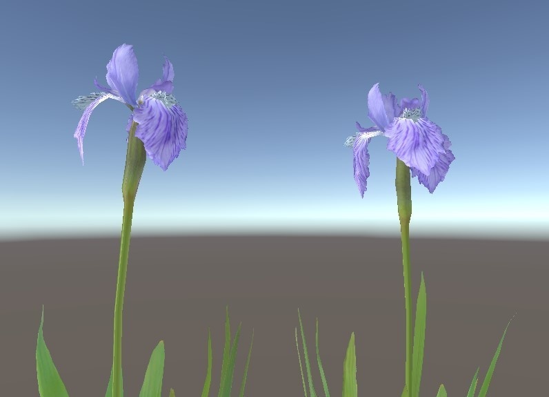 「イチハツ」【3Dモデル】