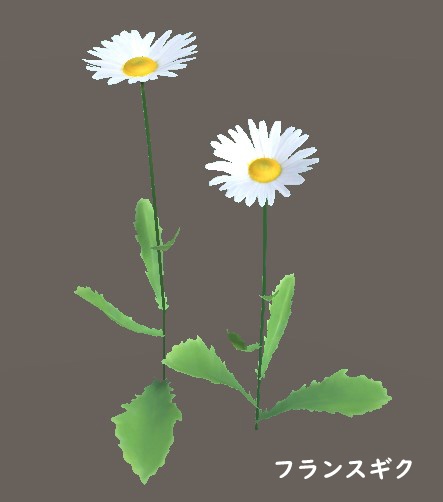 「ノースポール」&「フランスギク」【3Dモデル】