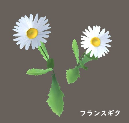 「ノースポール」&「フランスギク」【3Dモデル】