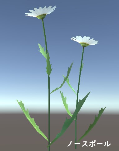 「ノースポール」&「フランスギク」【3Dモデル】