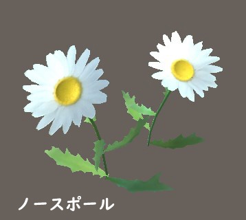「ノースポール」&「フランスギク」【3Dモデル】
