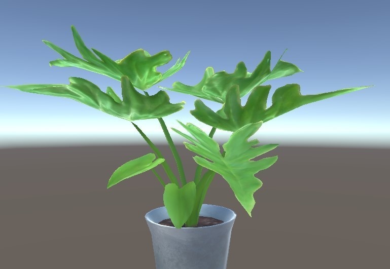 「フィロデンドロン・セローム」【3Dモデル】