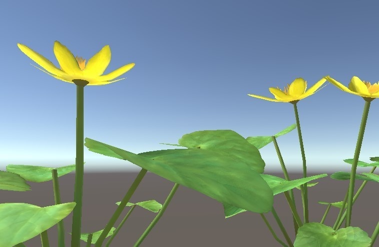 「リュウキンカ」【3Dモデル】