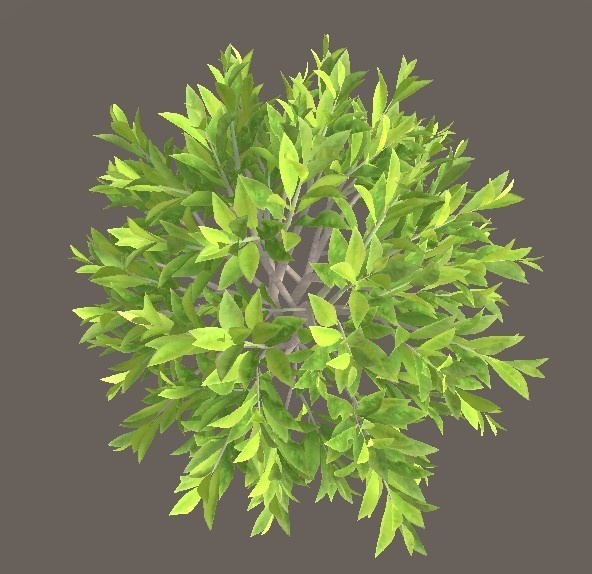 「低木」【3Dモデル】