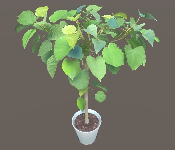 「ウンベラータ」【3Dモデル】