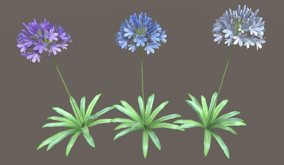 「アガパンサス」【3Dモデル】