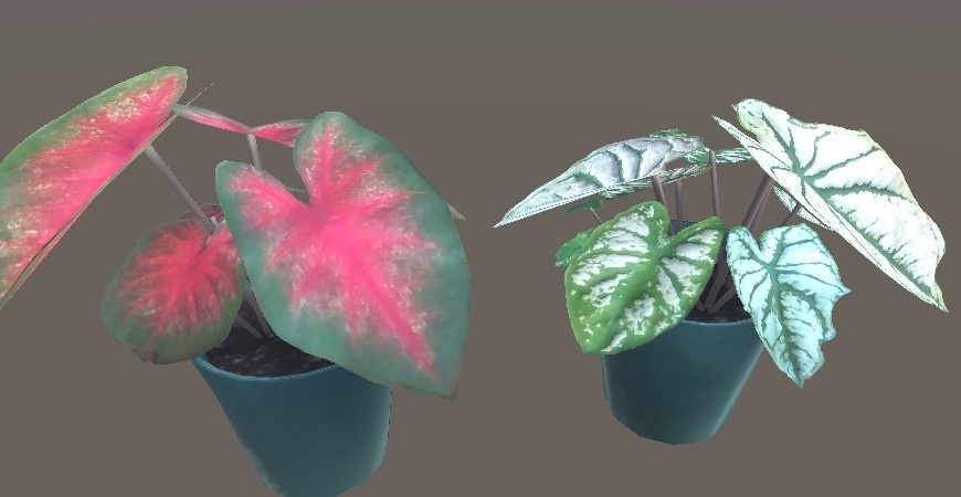 「カラジウム」【3Dモデル】