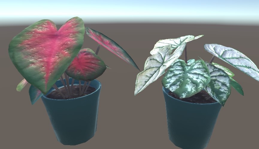 「カラジウム」【3Dモデル】