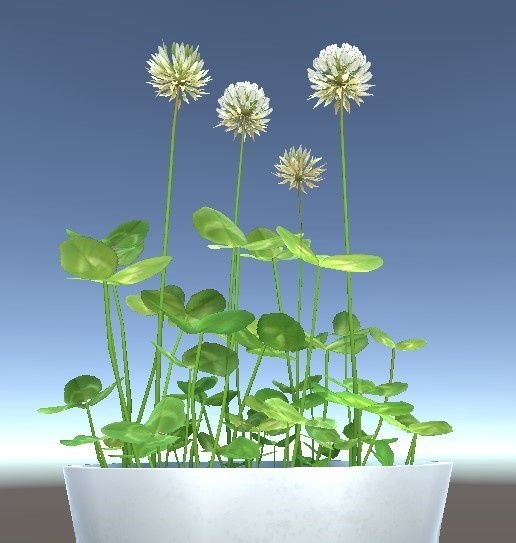 「シロツメクサ」と「アカツメクサ」【3Dモデル】