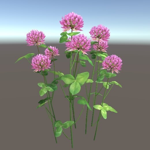 「シロツメクサ」と「アカツメクサ」【3Dモデル】