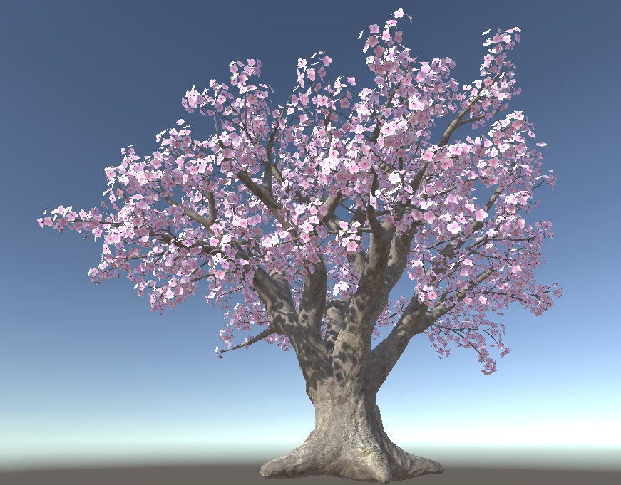 桜の木【3Dモデル】 紹介文