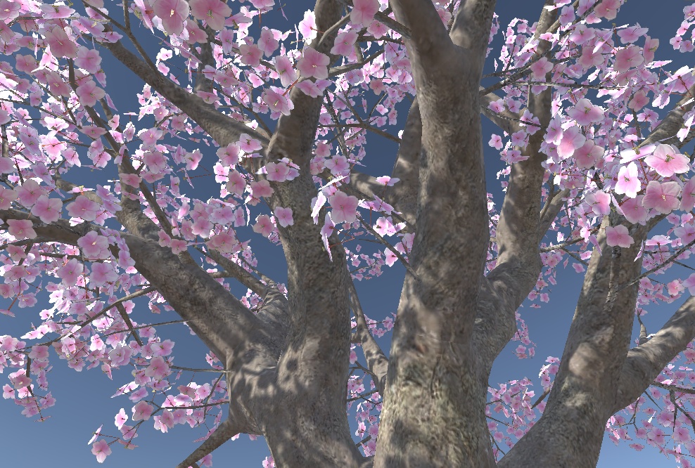 桜の木【3Dモデル】 紹介文