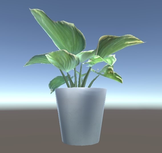 「ギボウシ(ホスタ)」【3Dモデル】