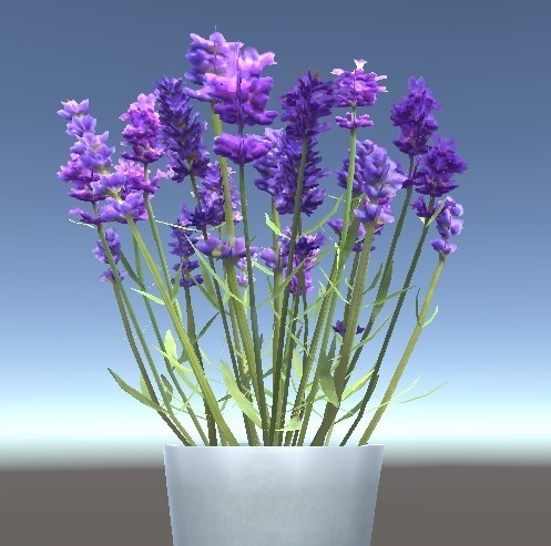 「ラベンダー(ローポリ)」【3Dモデル】