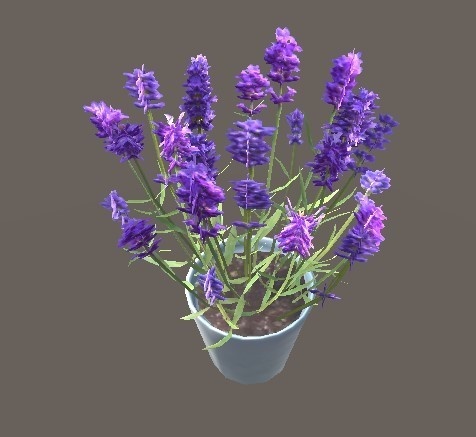 「ラベンダー(ローポリ)」【3Dモデル】