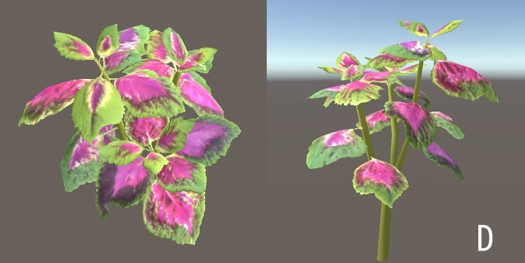 「コリウス」【3Dモデル】