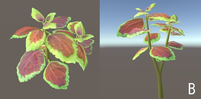 「コリウス」【3Dモデル】