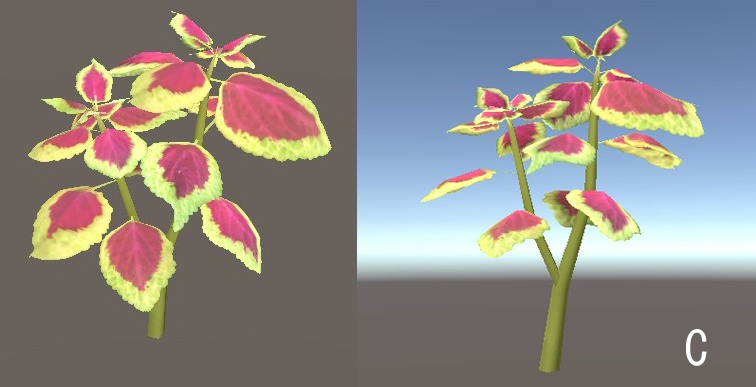 「コリウス」【3Dモデル】