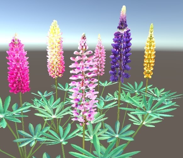 「ルピナス」【3Dモデル】