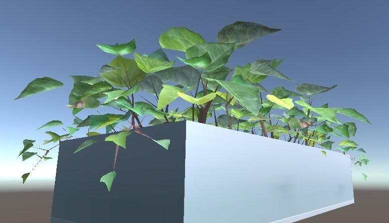 「セイヨウキヅタ」【3Dモデル】