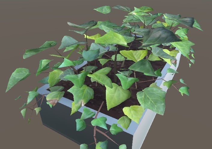 「セイヨウキヅタ」【3Dモデル】