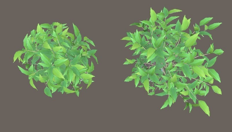 「ベンジャミン」【3Dモデル】