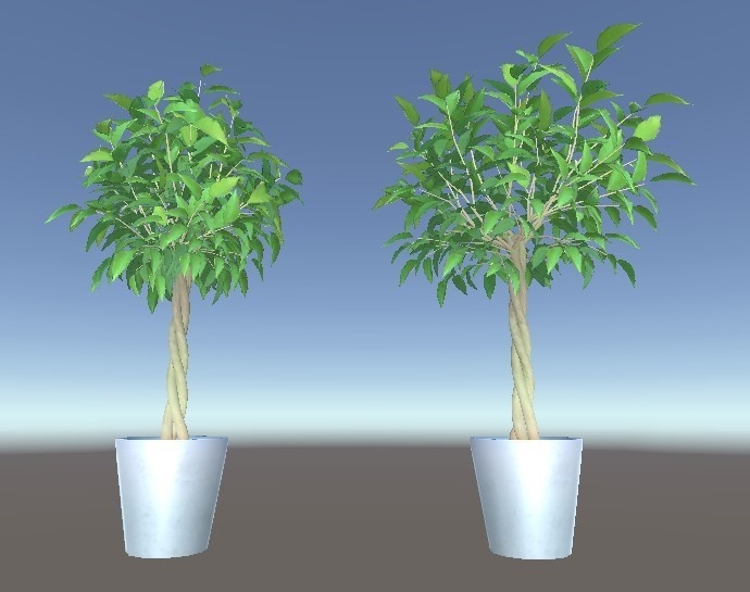 「ベンジャミン」【3Dモデル】