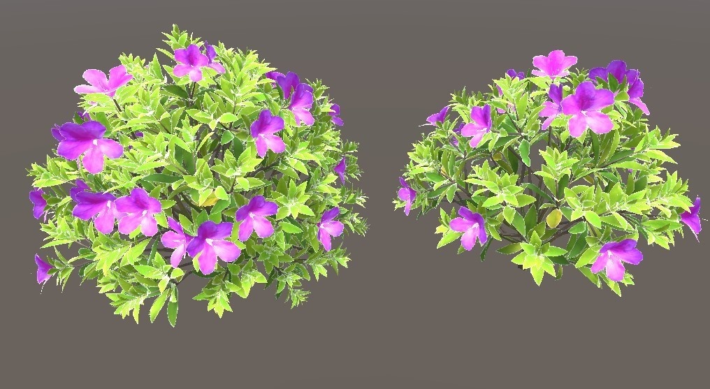 「ツツジ」【3Dモデル】