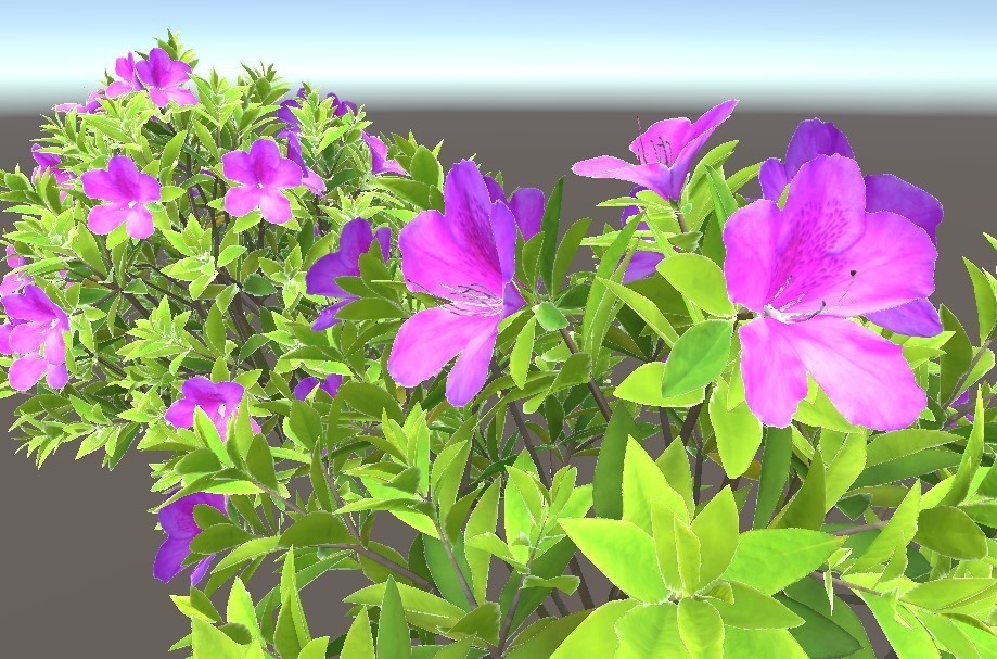 「ツツジ」【3Dモデル】